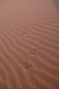 footprints in desert