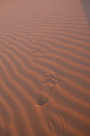 footprints in desert